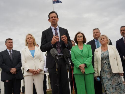 There’s something sticking out of Matt Canavan’s head